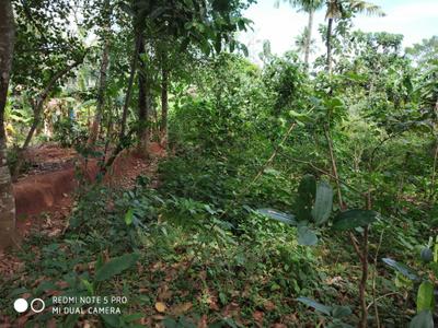 Image of 7600 Sq.ft Residential Plot / Land for sale in Pallimukku, Kollam for Rs. 7800000