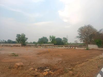 Palm City Plot View 2