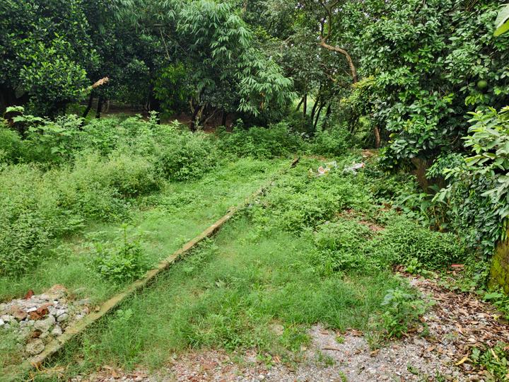 Anarwala Main Image 1