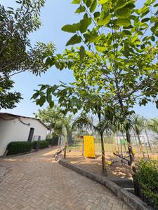 Image of 7000 Sq.ft Residential Plot / Land for sale in Kumhari, Bhilai for Rs. 3150000