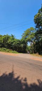 Image of 1444 Sq.ft Residential Plot / Land for sale in Assagao, Goa for Rs. 187720000