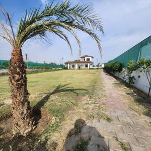 Image of 2000 Sq.ft 4 BHK Farm House for sale in Dkrrish Green Beauty Farms, Sector 135, Noida for Rs. 18000000