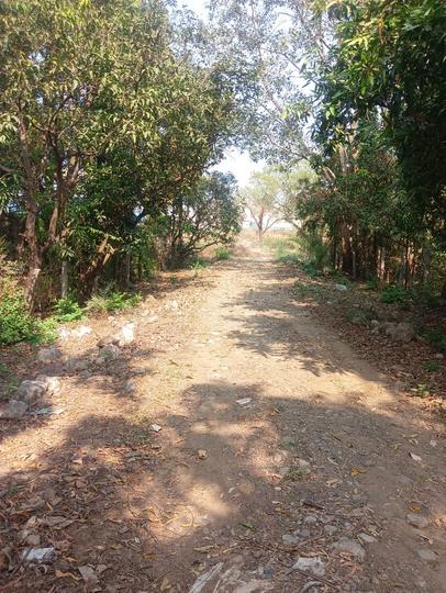 Maan, Boisar Main Image 1