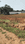Kathal More Main Image 1