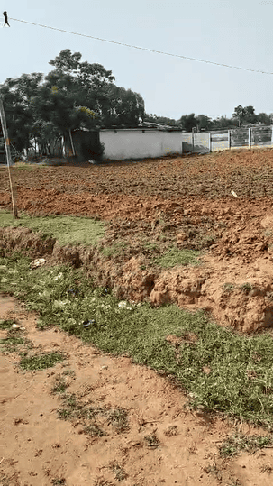 Kathal More Main Image 1