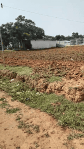 Residential Plot