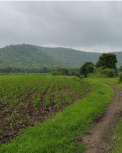 Image of 5000 Sq.ft 1 RK Farm House for sale in Simrol, Indore for Rs. 2600000