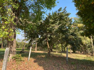 Image of 11000 Sq.ft Residential Plot / Land for sale in Nagaon, Alibag for Rs. 13200000