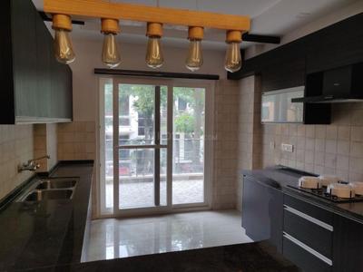 Kitchen Image of 3150 Sq.ft 4 BHK Builder Floor for sale in Sector 52 Gurgaon for Rs. 35000000