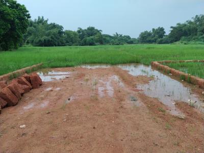 Image of 1200 Sq.ft Residential Plot / Land for sale in Phulnakhara, Cuttack for Rs. 1980000