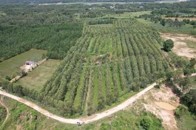 Image of 20400 Sq.ft Residential Plot / Land for sale in Biharigarh, Saharanpur for Rs. 50000000