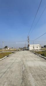 Radhey shyam Prishad Plot View 3