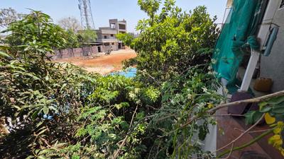 Balcony Image of 6500 Sq.ft 8 BHK Independent House for sale in Neelbad Bhopal for Rs. 45000000