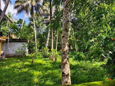 Image of 800 Sq.ft 3 BHK Independent House for sale in Kayamkulam, Alappuzha for Rs. 475000