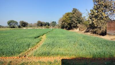 Ghatampur More Images 2