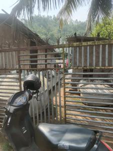 Image of 1400 Sq.ft Residential Plot / Land for sale in Lokhra, Guwahati for Rs. 2850000