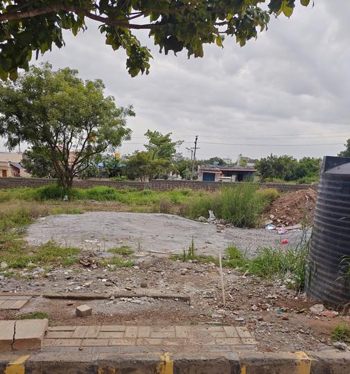 Bluejay Atmosphere II Main Image 1