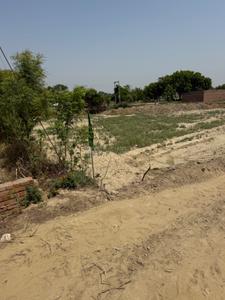 Image of 1000 Sq.ft Residential Plot / Land for sale in Harhua, Varanasi for Rs. 2550000