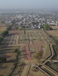 PG Krishna Carnival Plot View 3