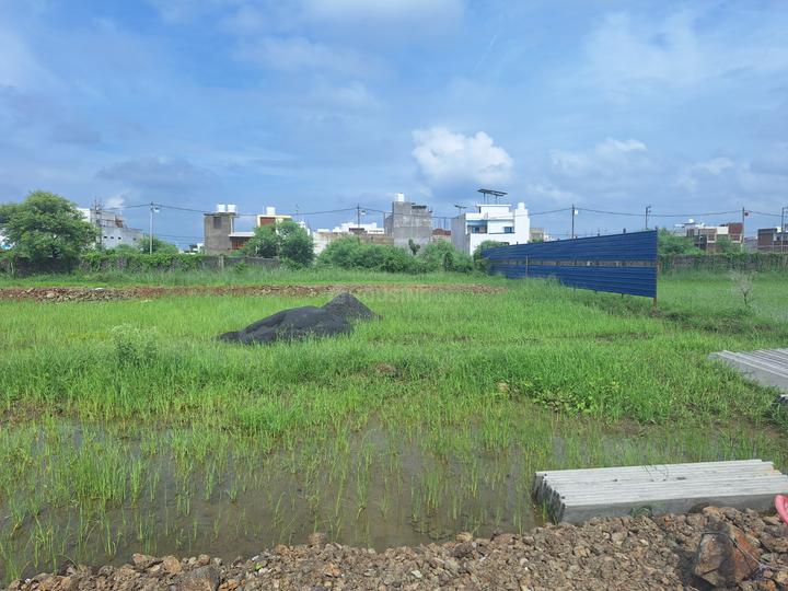 Surtalai Main Image 1