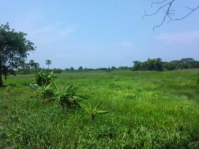 Residential Plot