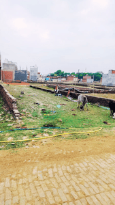 Residential Plot