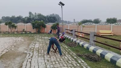Ashok vihar Plot View 1