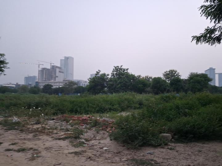Peradise City 138 Main Image 1
