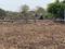 Invest Mahamumbai Plots In Chirle Main Image 1