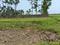 Sonarpur Main Image 1