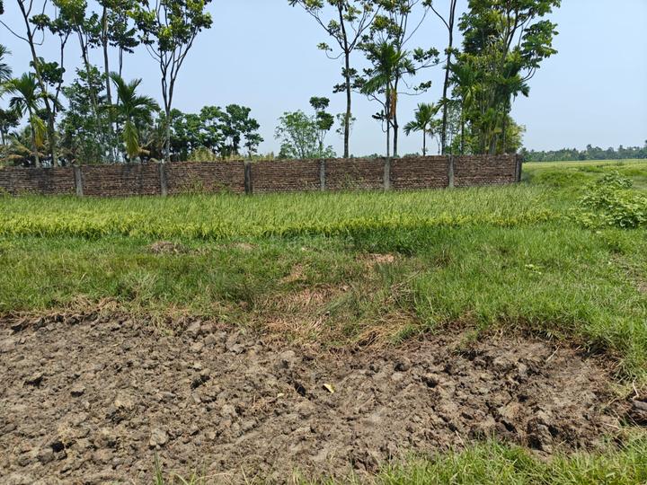Sonarpur Main Image 1