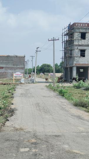 Kattankulathur Main Image 1