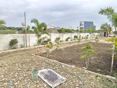 Image of 680 Sq.ft Residential Plot / Land for sale in Pigdambar, Indore for Rs. 2312000