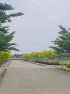 Surya Icon Phase I Plot View 2