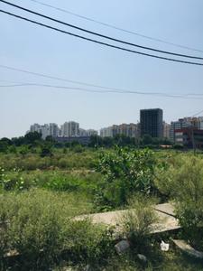 Kheri Khurd Plot View 3