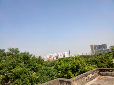 Image of 850 Sq.ft 2 BHK Apartment / Flat for rent in DDA Peepal Apartments, Sector 17 Dwarka, New Delhi for Rs. 25500