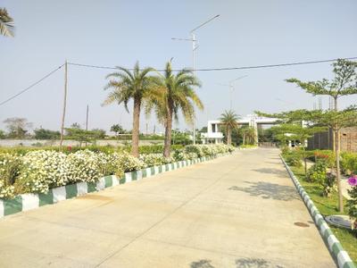 Image of 1250 Sq.ft Residential Plot / Land for sale in Saliwada, Jabalpur for Rs. 3375000