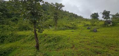 Image of 520000 Sq.ft Residential Plot / Land for sale in Varasgaon, Pune for Rs. 123500000