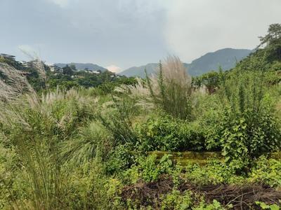 Image of 1680 Sq.ft Residential Plot / Land for sale in Sahastradhara Road, Dehradun for Rs. 10826667