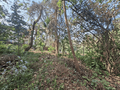 Residential Plot