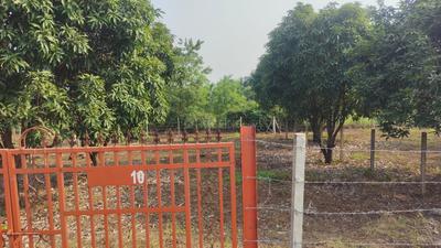 Image of 3250 Sq.ft Residential Plot / Land for sale in Karjat, Thane for Rs. 3246750