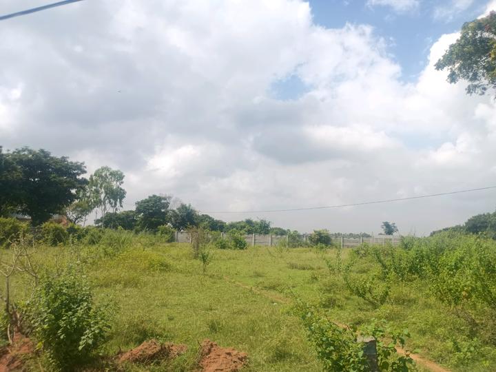 SaiPrakash Main Image 1