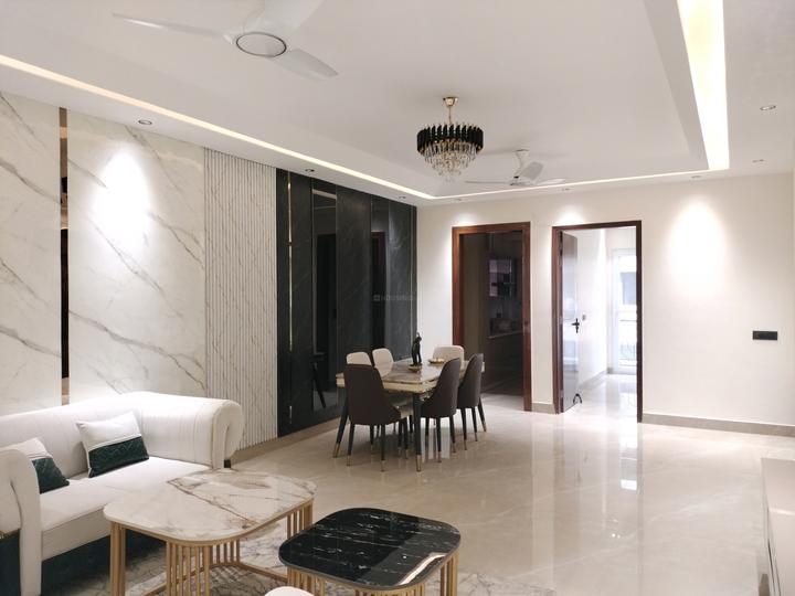 Amolik Aster Woods Main Image 1