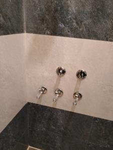 Bathroom Image of 800 Sq.ft 1.5 BHK Apartment / Flat for rent in Sector 110 Gurgaon for Rs. 13000
