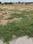 SR Sree City Main Image 1