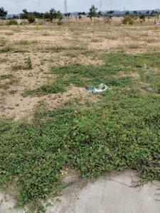 Image of 1000 Sq.ft Residential Plot / Land for sale in Shankarpally, Hyderabad for Rs. 8000000