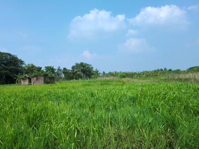 Image of 1440 Sq.ft Residential Plot / Land for sale in Natures Paradise, Joka, Kolkata for Rs. 339999