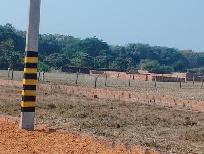 Balianta Plot View 2