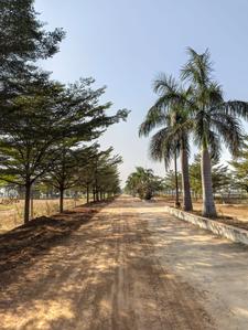 Image of 1000 Sq.ft 3 BHK Independent House for sale in Aranya City Of Woodland Chatoud, Pacheda 1, Raipur for Rs. 2031000