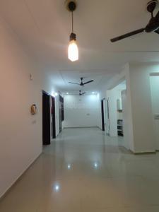 Hall Image of 1400 Sq.ft 2 BHK Apartment / Flat for rent in APS Panchkula Heights, Dhakoli Zirakpur for Rs. 20000